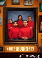 A Nice Indian Boy (2025) Hindi Movie