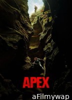 Apex (2026) ORG Hindi Dubbed Movie