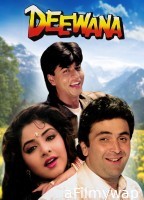 Deewana (1992) Hindi Movie