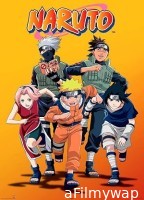 Naruto (2002) Season 1 Hindi Dubbed Web Series