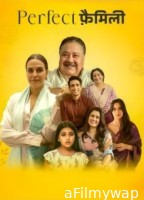 Perfect Family (2025) Season 1 Hindi Web Series